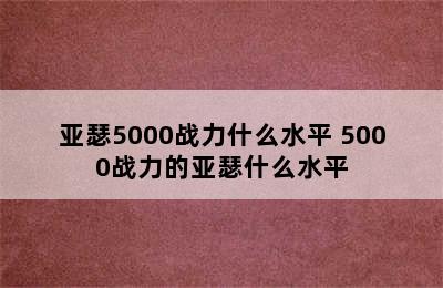 亚瑟5000战力什么水平 5000战力的亚瑟什么水平